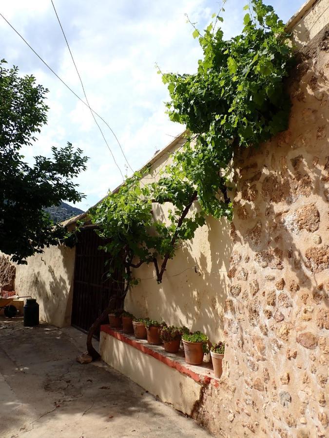 Albergue Casa De L'Aigua 贝塞特 外观 照片