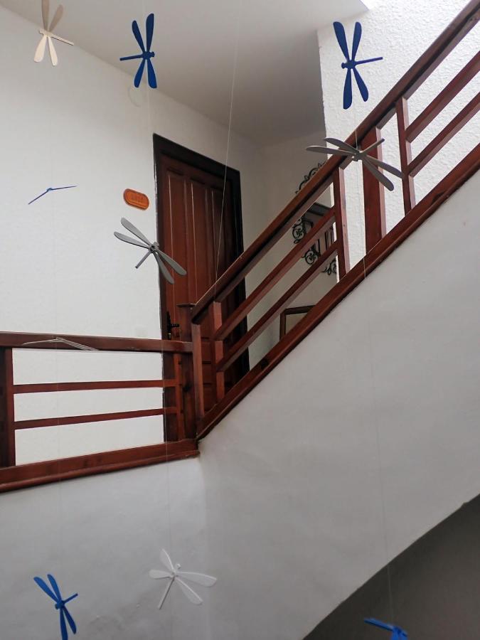 Albergue Casa De L'Aigua 贝塞特 外观 照片